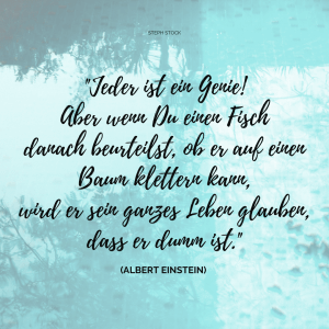 Stärken stärken Einstein