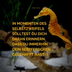 mutig sein Selbstbewusstsein